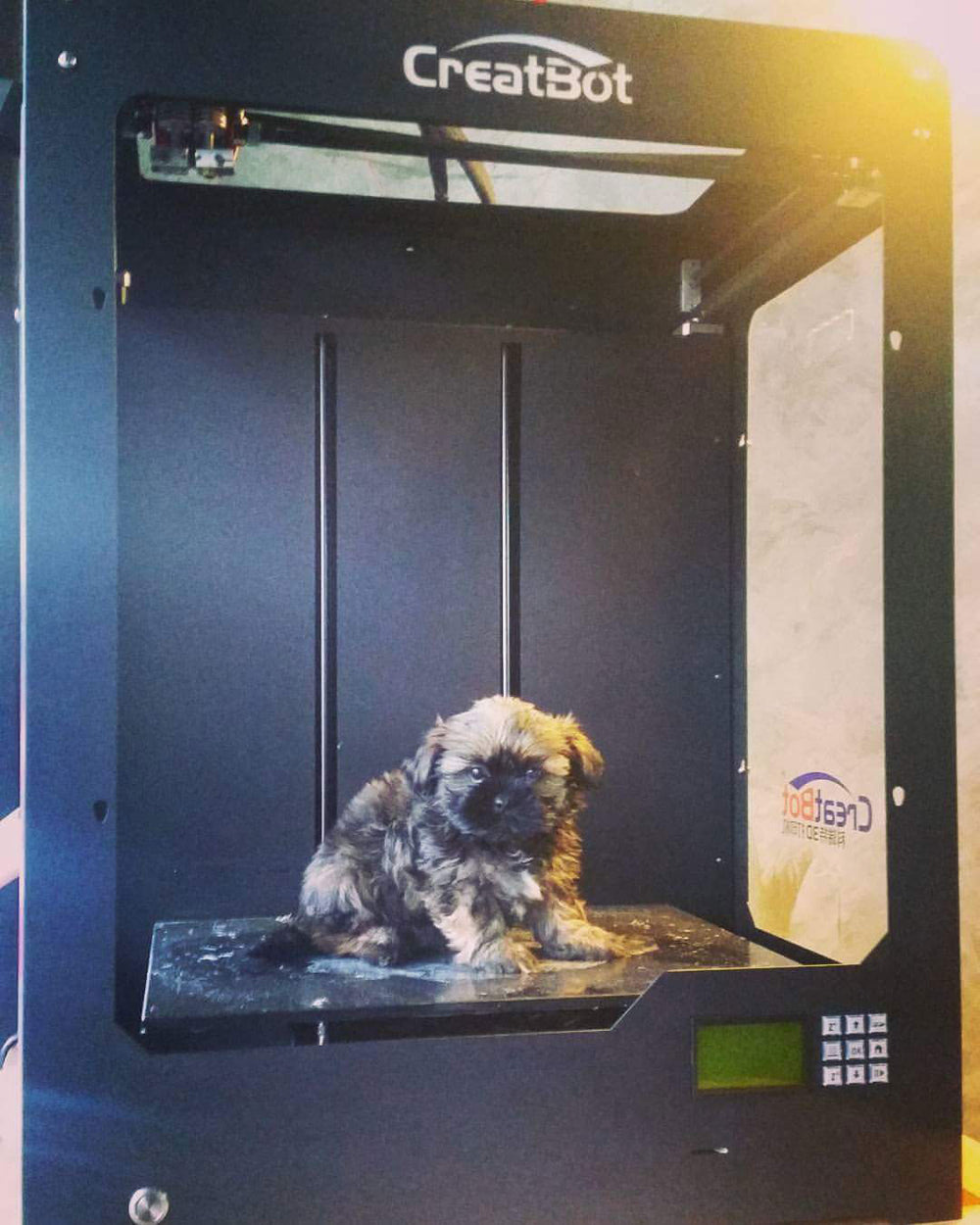 Masive build volume of the Creatbot DG