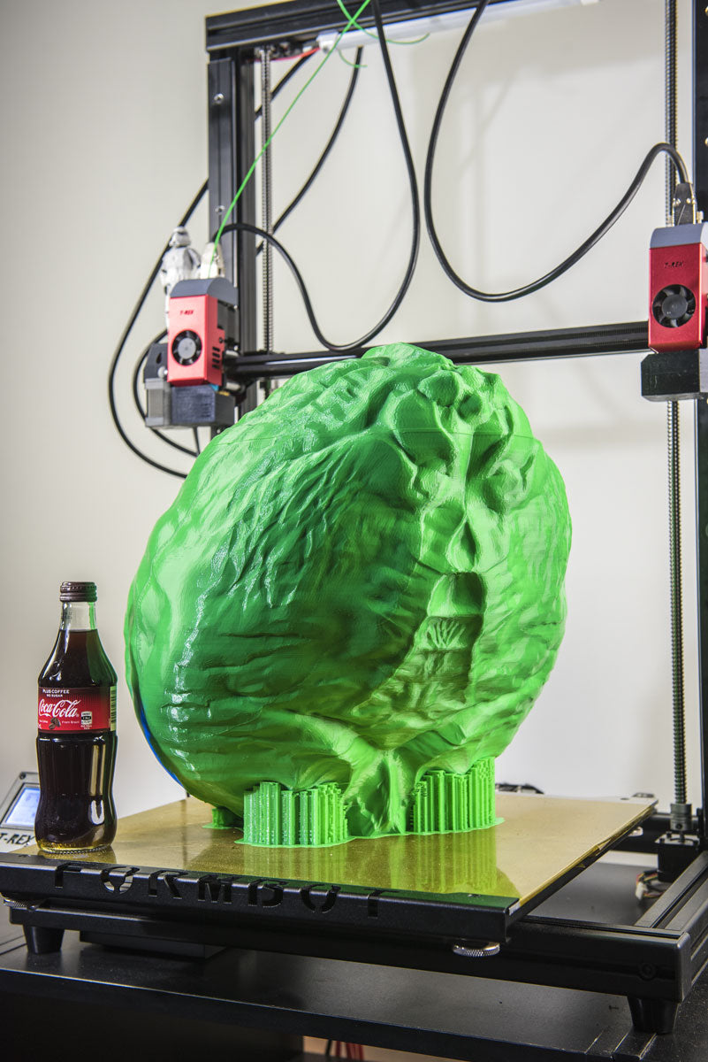 Spider butt on formbot 3d printer