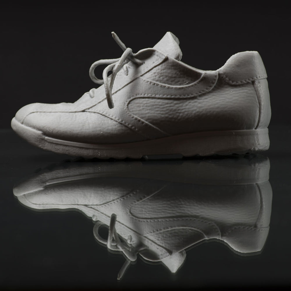 3D Scanned Shoe 3d printer on an Up Box