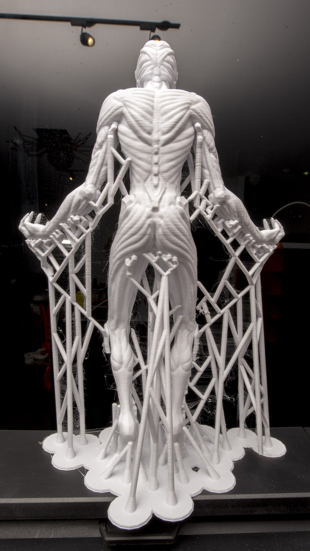 Musle 3d print with tree like supports