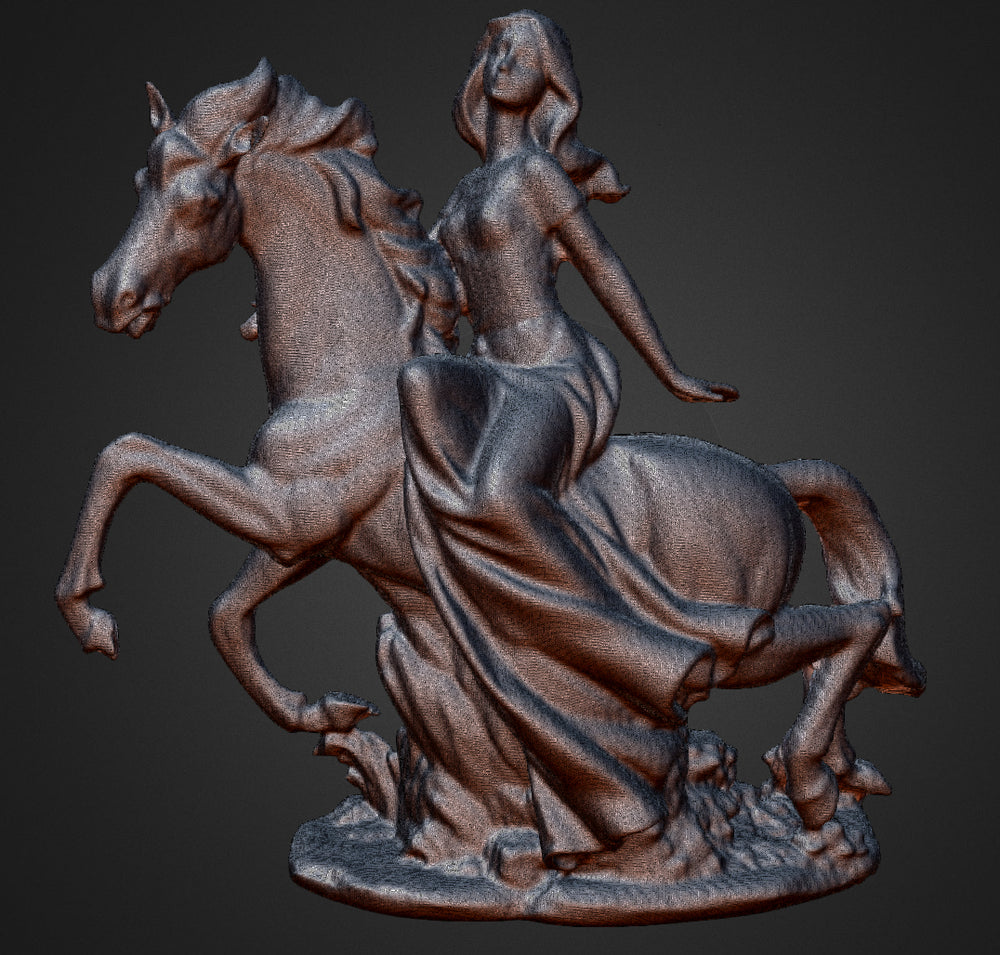 3D Scan with Einscan