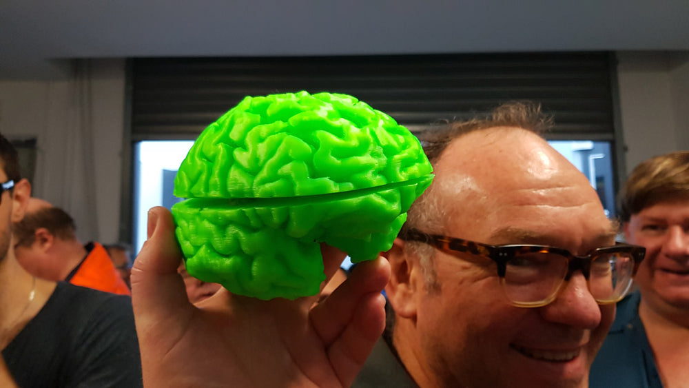 3D Printed Cat Scan of Brain