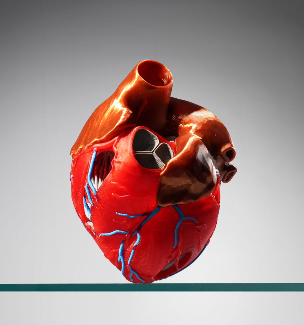 multic-colour 3d printed heart made with the bambu lab H2D Pro 3d printer in full colour