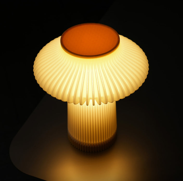 Bambu Lab P2S multi-material print sample of lamp shade