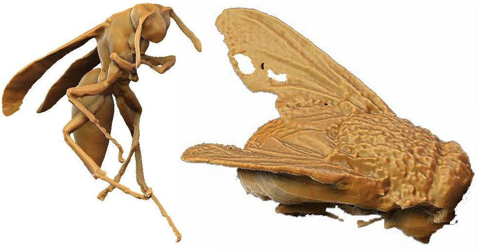 DAVID SLS-3 HD Structured White Light 3D Scanner